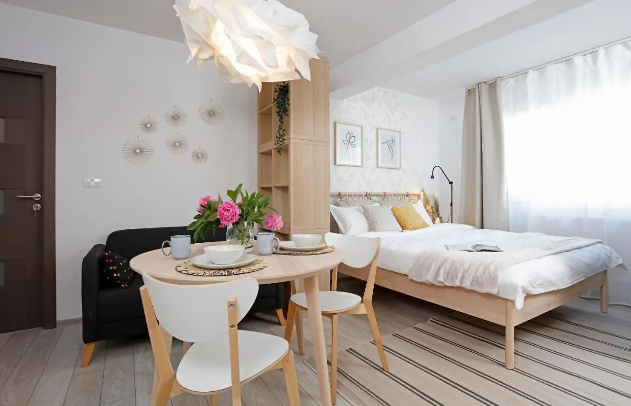 New & Cozy Studio In Ghencea + Netflix Bucarest Apartamento